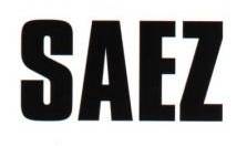 logo Damien Saez